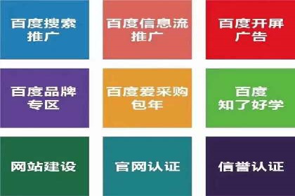 百度SEO推广公司案例：如何快速提升网站排名