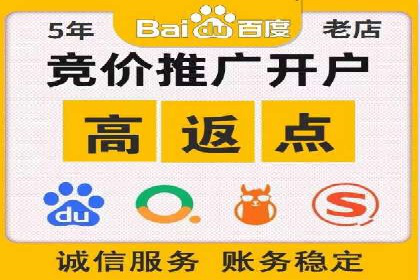 某行业sem竞价托管成功案例：精准投放的秘诀